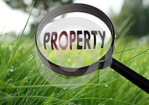 Property