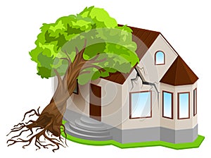 Property insurance against natural disasters. Earthquake tree fell on house photo