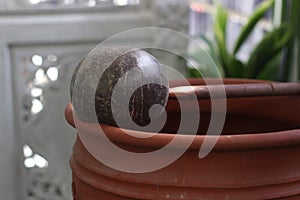 Property for siraman, prosession before wedding at traditional java, indonesia