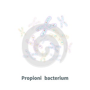 Propionibacterium probiotics on white