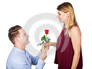 Proposal