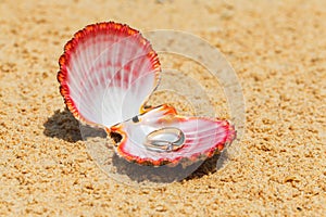 Proposal of marriage. Engagement ring in shells on the sand on t