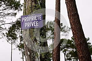 Propriete Privee means Private Property sign on pine tree forest in French photo