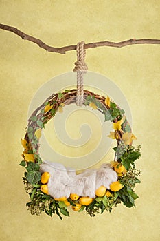 Props for photographing newborns, a hanging ring on a branch with pears and leaves on a yellow