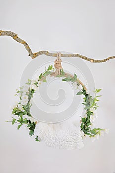 Props for shooting a newborn in a grape ring suspended on a branch decorated with floristry, cradle for a photo