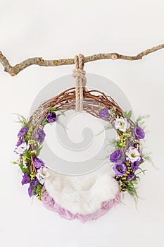 Props for shooting a newborn in a grape ring suspended on a branch decorated with floristry, cradle for a photo