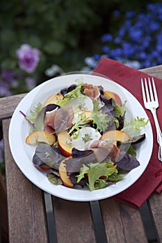 Prosciutto Peach Salad With Fresh Mozzarella