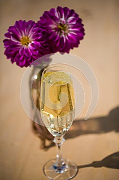 Prosecco with blubber, green background