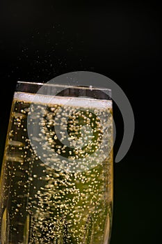 Prosecco with blubber, green background