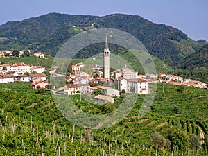 Prosecco vineyards in Guia, Valdobbiadene