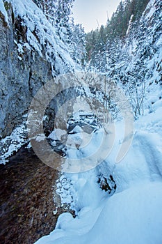 Prosiecka dolina gorge during winter