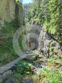 Prosiecka valley, Prosiek