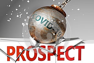 Prospect and coronavirus, symbolized by the virus destroying word Prospect to picture that covid-19  affects Prospect and leads to