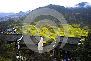 The Prospect of Jiangxi Wuyuan golden Field