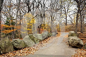 Prospect Park Autumn - Brooklyn
