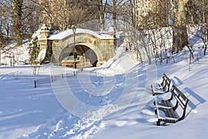 Prospect Park Benches in Snow