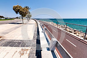 The prospect of the sea and promenade with palm trees