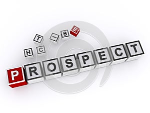 prospect word block on white