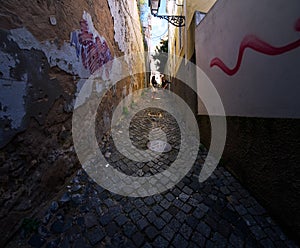 Prospects and gateways of the old Lisbon. Portugal. photo