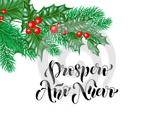 Prospero Ano Nuevo Spanish Happy New Year calligraphy hand drawn text on holly wreath ornament for greeting card background templa