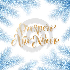 Prospero Ano Nuevo Spanish Happy New Year golden calligraphy hand drawn text on frozen snow blue wreath ornament for greeting card