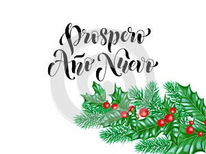 Prospero Ano Nuevo Spanish Happy New Year holiday hand drawn calligraphy lettering greeting card background template. Vector Chris