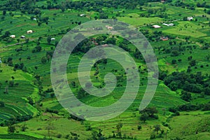 Prosperous green Indian landscape photo