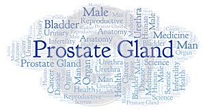 Prostate Gland word cloud.