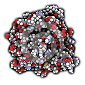 Prostate-specific antigen