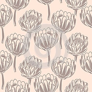 Protea flower simple seamless vector pattern.