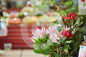 Protea flowers at market on Madeira