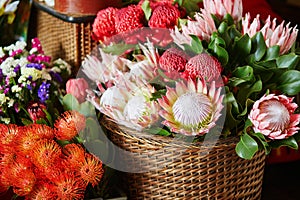 Protea flowers at market on Madeira