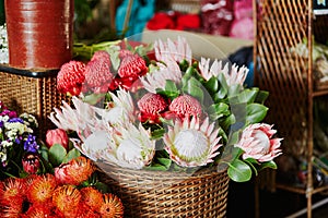 Protea flowers at market on Madeira