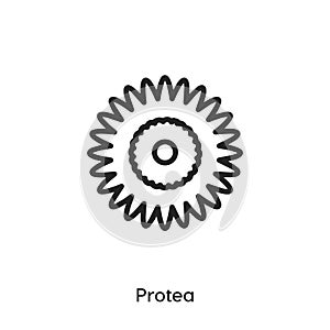 Protea icon vector. protea icon vector symbol illustration. Modern simple vector icon for your design.