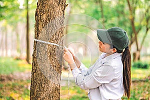 Protect from deforestation and pollution or climate change Concept to love nature and tree Woman measuring the circumference of a