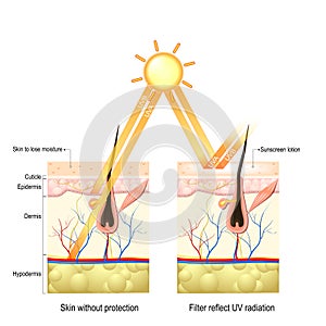 Protect human skin from UVA , UVB ray