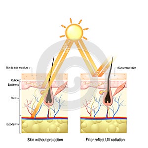 Protect human skin from UVA , UVB ray photo