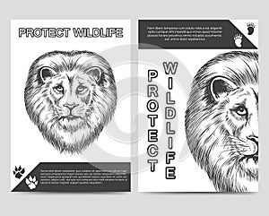 Protect nature brochure with lion
