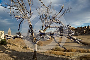 Protect to Evil Eye Nazar Glass. Cappadocia Tree