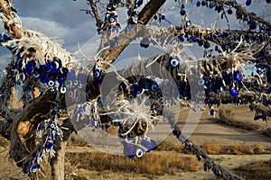 Protect to Evil Eye Nazar Glass. Cappadocia Tree