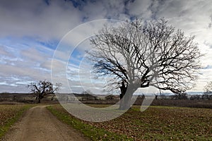 Protected area in Bulgaria `Marashka koria` photo