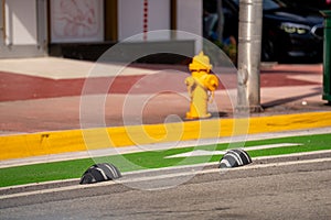 Protected bike lanes in Miami Beach Florida USA