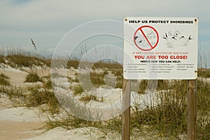 Protected Dunes