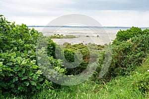 Protected foreshore area of Manukau Harbour in Auckland, New Zealand