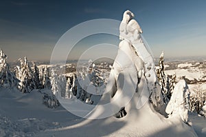 Protected Landscape Area Kysucke Beskydy, Slovakia