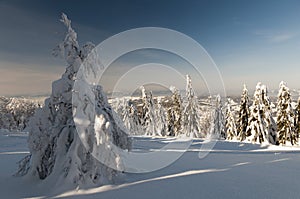 Protected Landscape Area Kysucke Beskydy, Slovakia