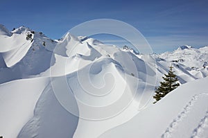 Protected nature area Gipslöcher,Lech, Austria,