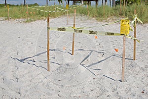 Protected Sea Turtle Nests
