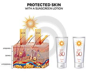 Protected skin with a sunscreen lotion