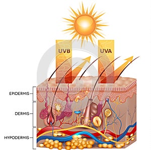 Protected skin with sunscreen lotion photo